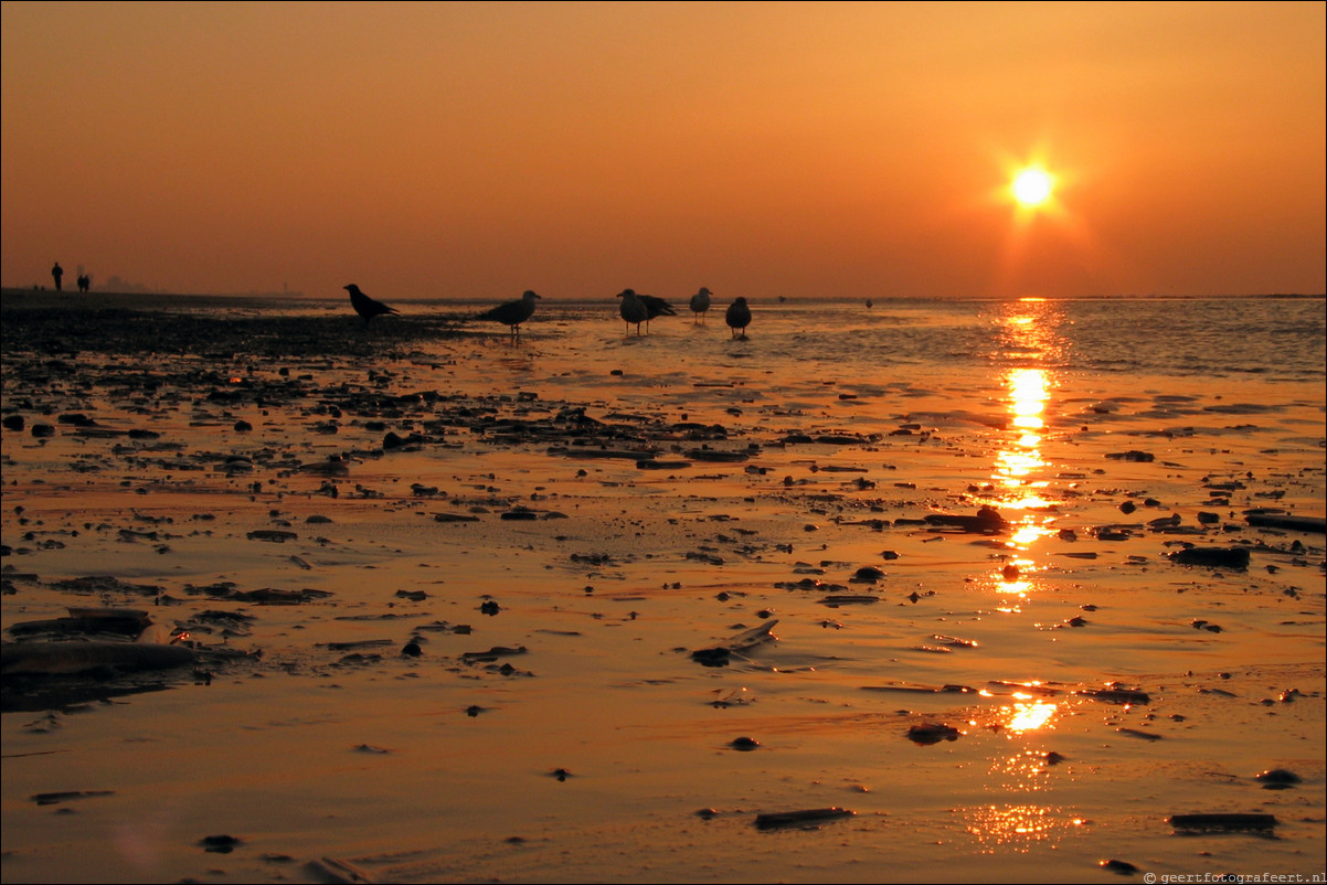 katwijk aan zee